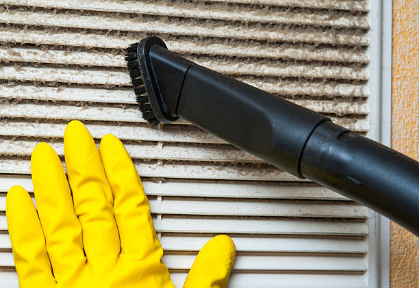 Best Ventilation Cleaning Services  in Dover, TN